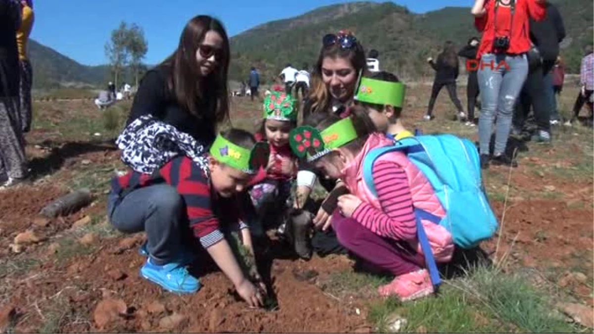 Fethiye\'de 15 Temmuz Şehitleri Için Hatıra Ormanı