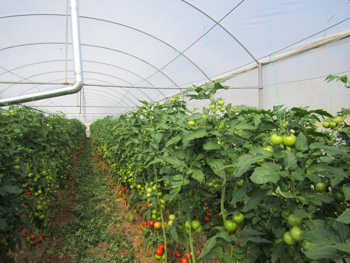 Orman ve Su İşleri Bakanlığı Orman Köylülerine Desteğini Sürdürüyor