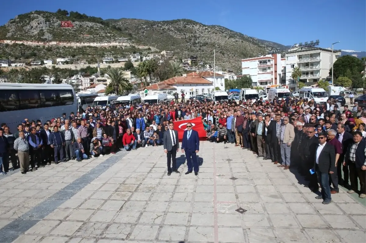 Binlerce Finikeli "Evet "İçin Toplandı