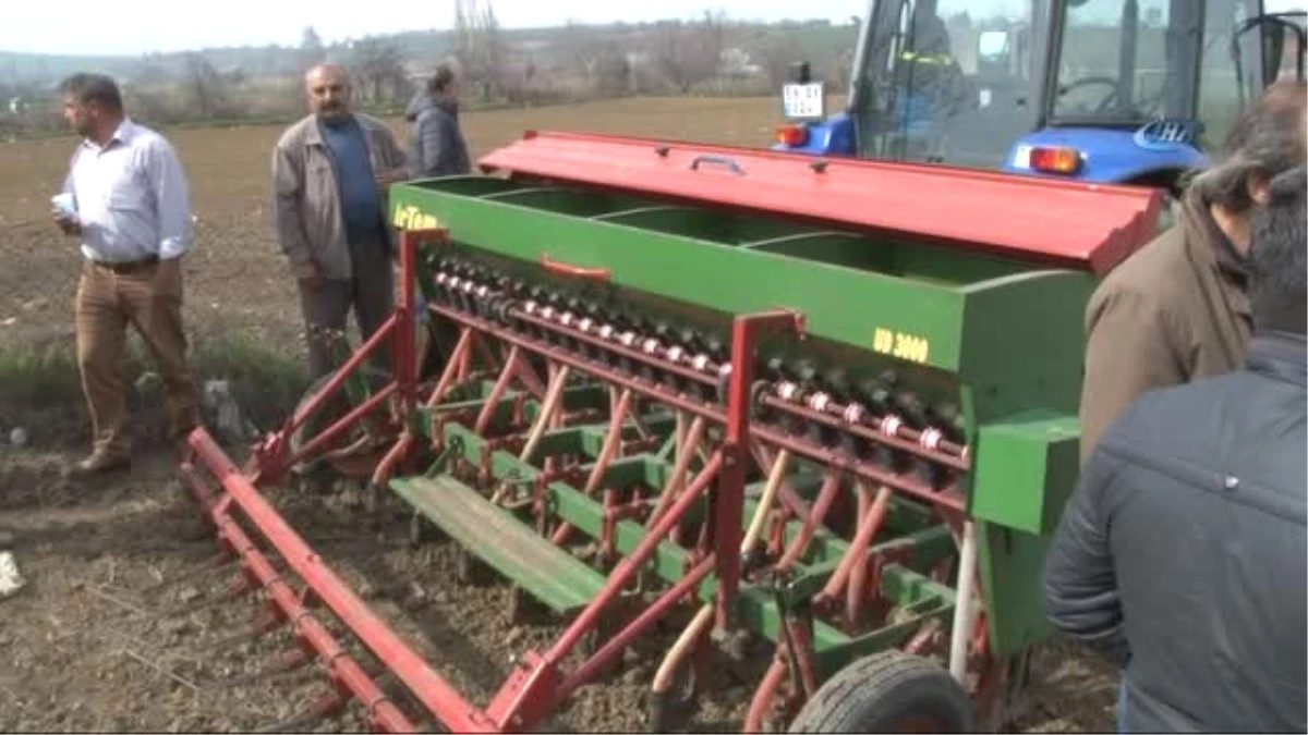 Sezonun İlk Kinoa Ekimi Tekirdağ\'da Gerçekleştirildi