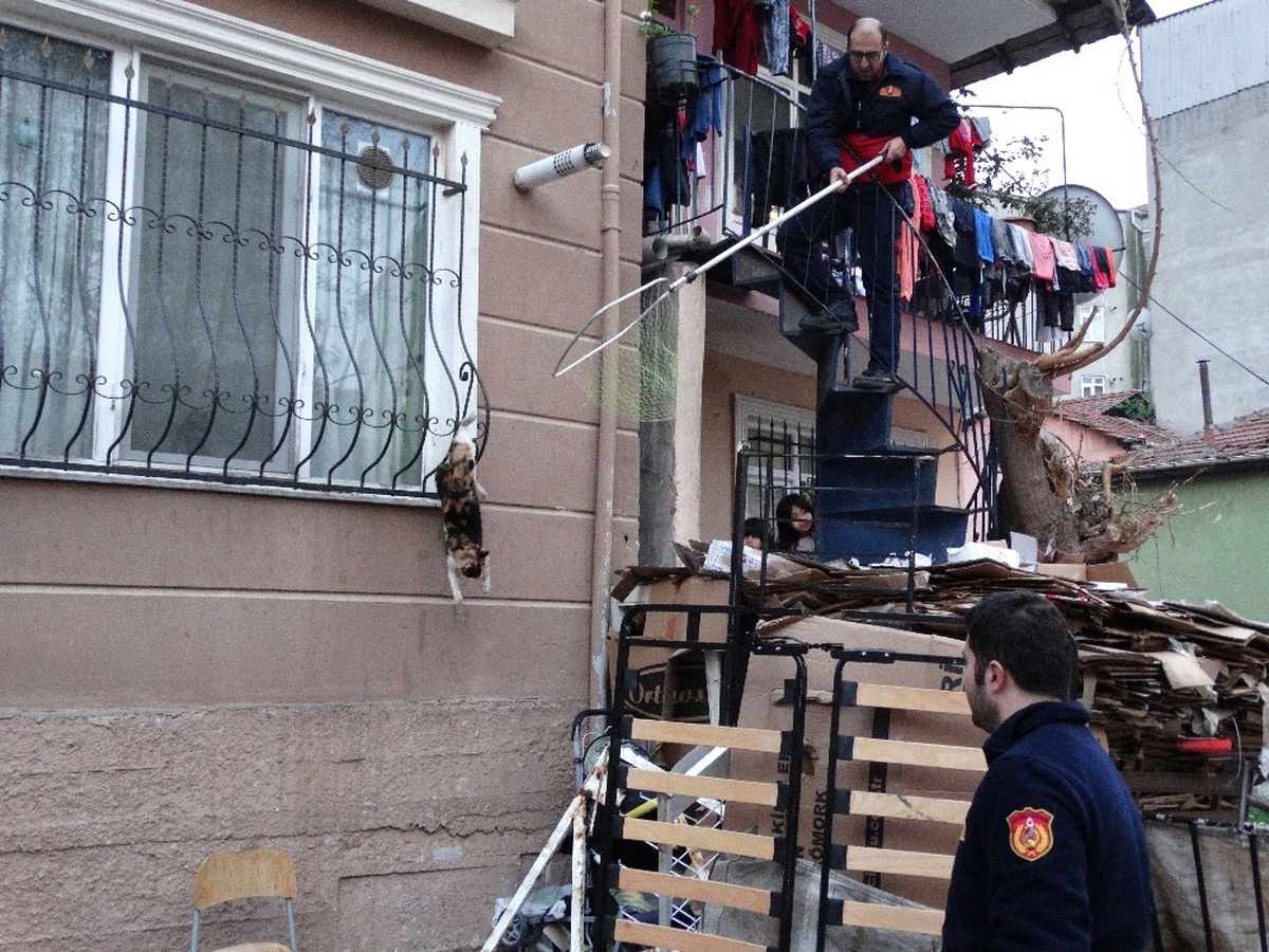 Parmaklıklara Sıkışan Kediyi Kurtarmak İçin Operasyon Yapıldı