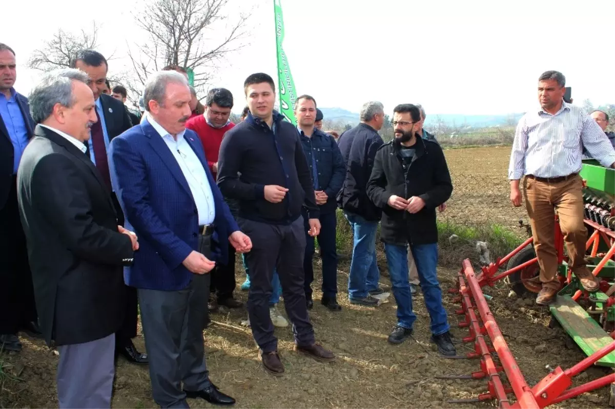 Sezonun İlk Kinoa Ekimi Tekirdağ\'da Gerçekleştirildi