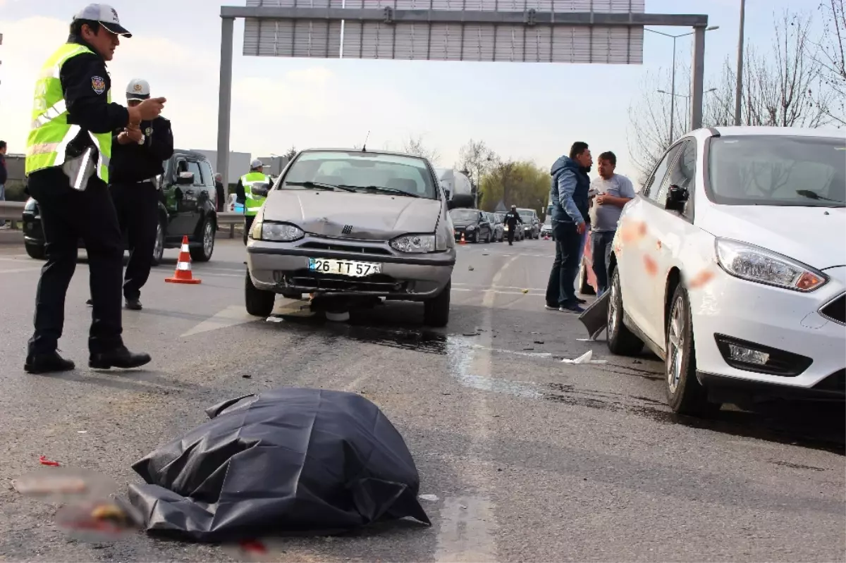 Yolun Karşısına Geçmek Isterken Canlarından Oldular