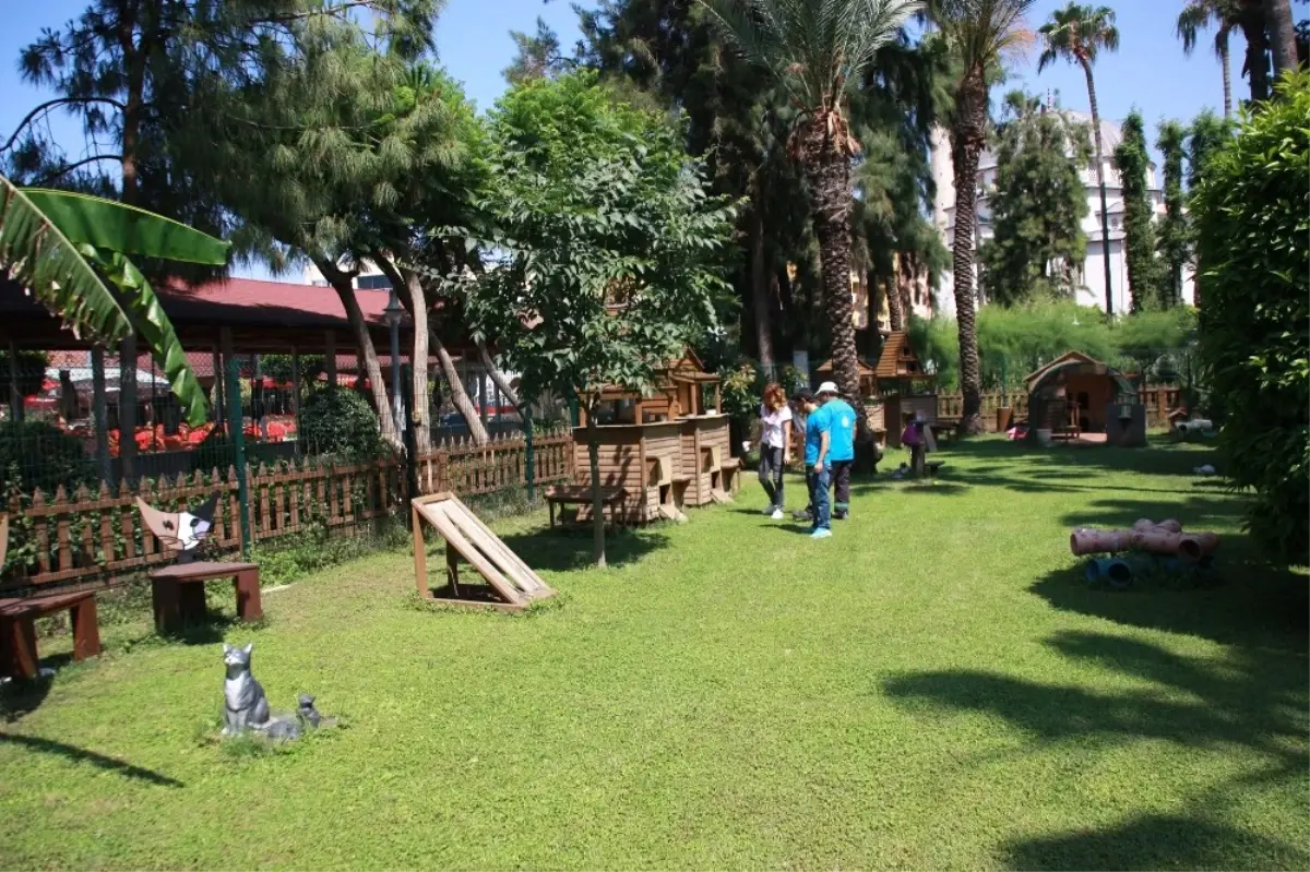 Alanya Belediyesi\'nden Sahipsiz Hayvanlara Hizmet