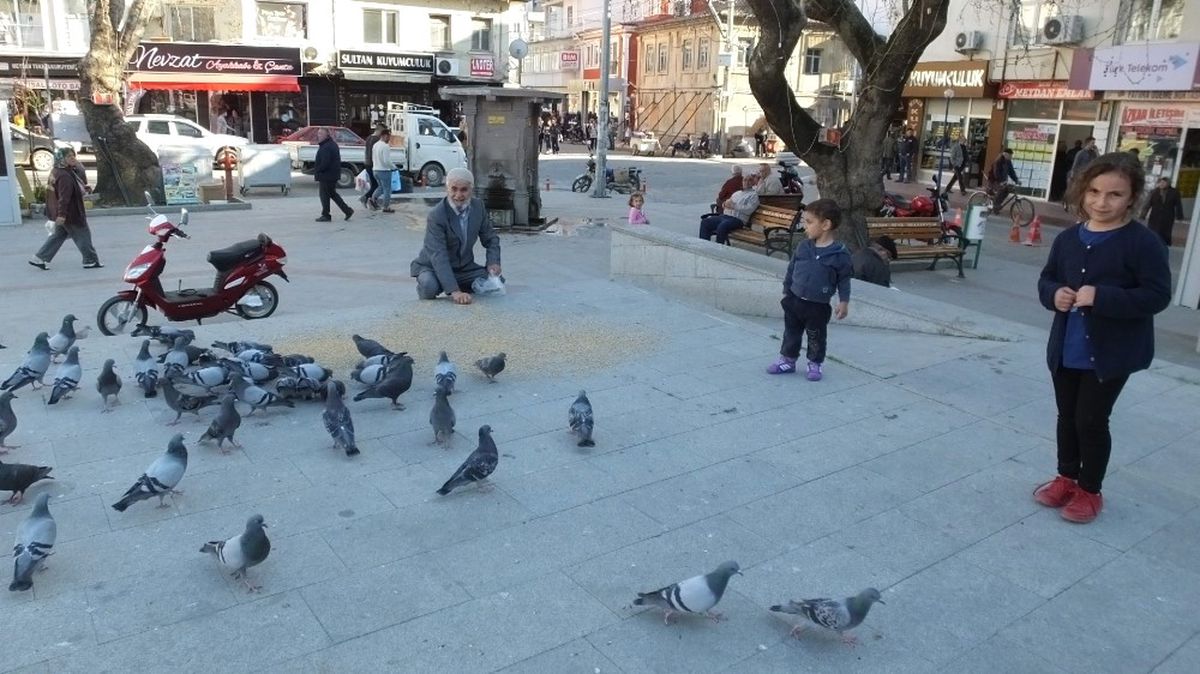 Burhaniye\'de Güvercinler İlgi Odağı Oldu