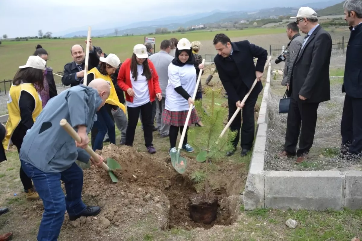 Niksar\'da Fidan Dikme Etkinliği