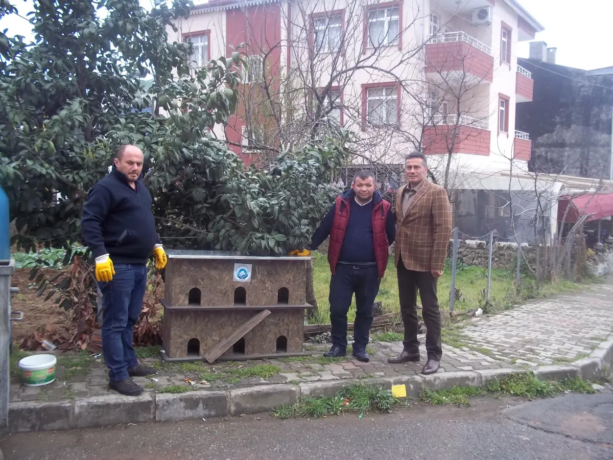 Ortahisar Belediyesinden Sokak Hayvanları İçin Barınak