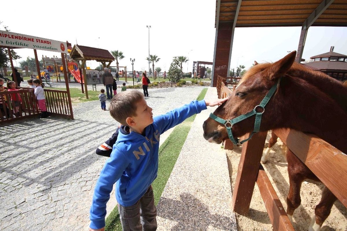 Bahar Tay Park\'ta Güzel