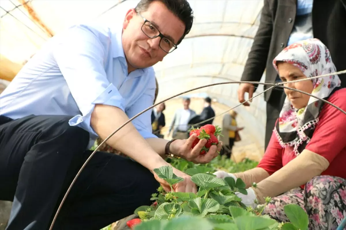 Halk Oylamasına Doğru