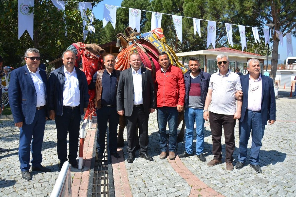 Kıbrıs\'a Bu Defa Develer Çıkarma Yapacak