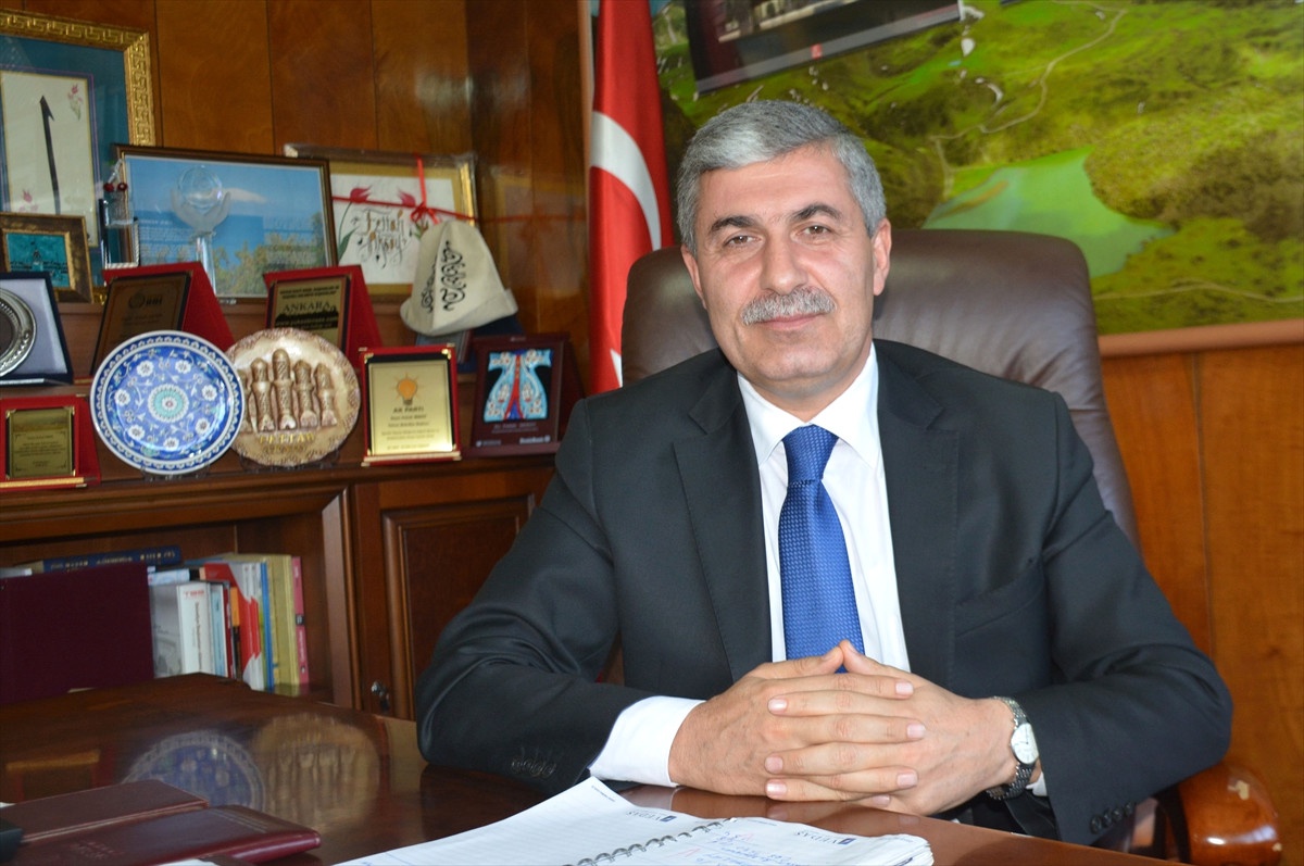Tatvan Belediyesinin Sokak Hayvanları Duyarlılığı