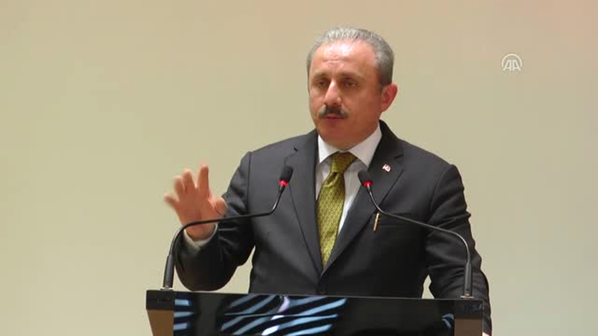 TBMM Anayasa Komisyonu Başkanı Şentop Açıklaması