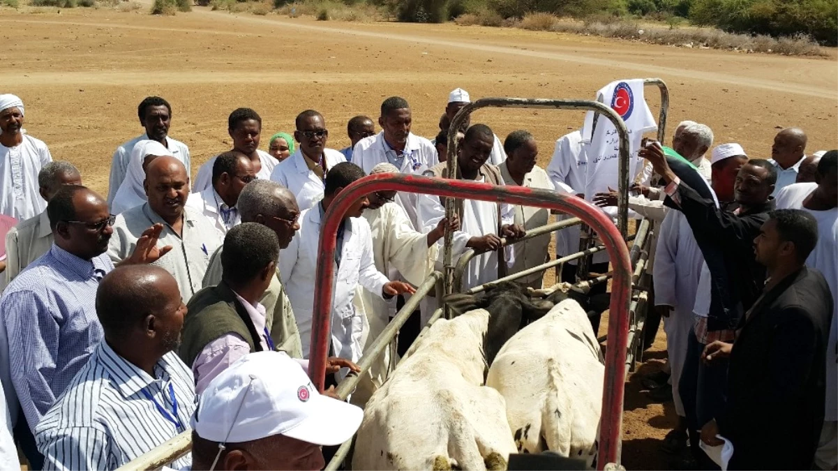 Tika Sudan Suni Tohumlama Merkezinde Ürün Satışlarına Başlandı