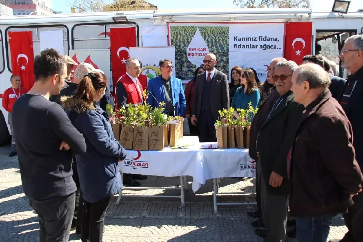 Bir Kan Bir Fidan Projesi" Fidan Dağıtımı