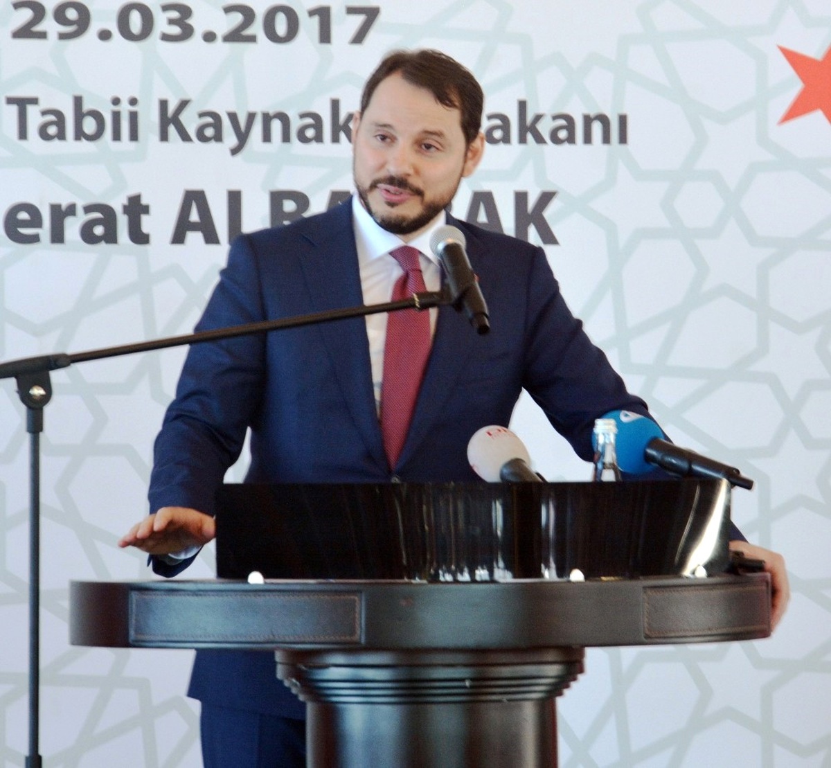 Enerji ve Tabii Kaynaklar Bakanı Albayrak: (3)