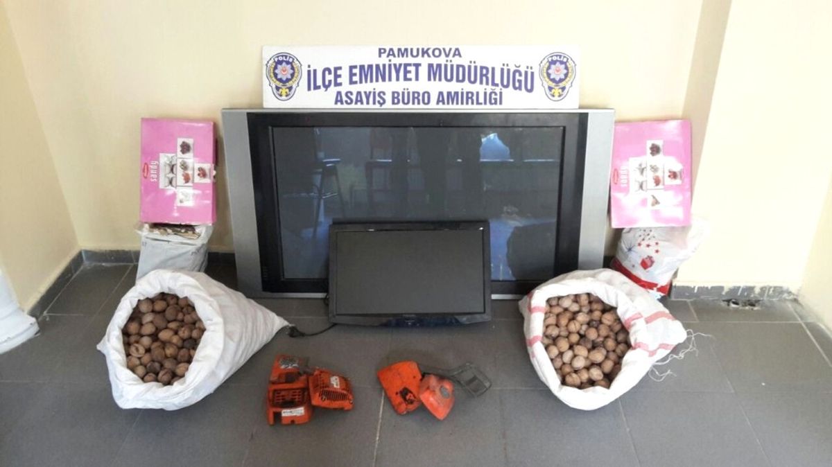 Hırsızlık Çetesi Yakalandı