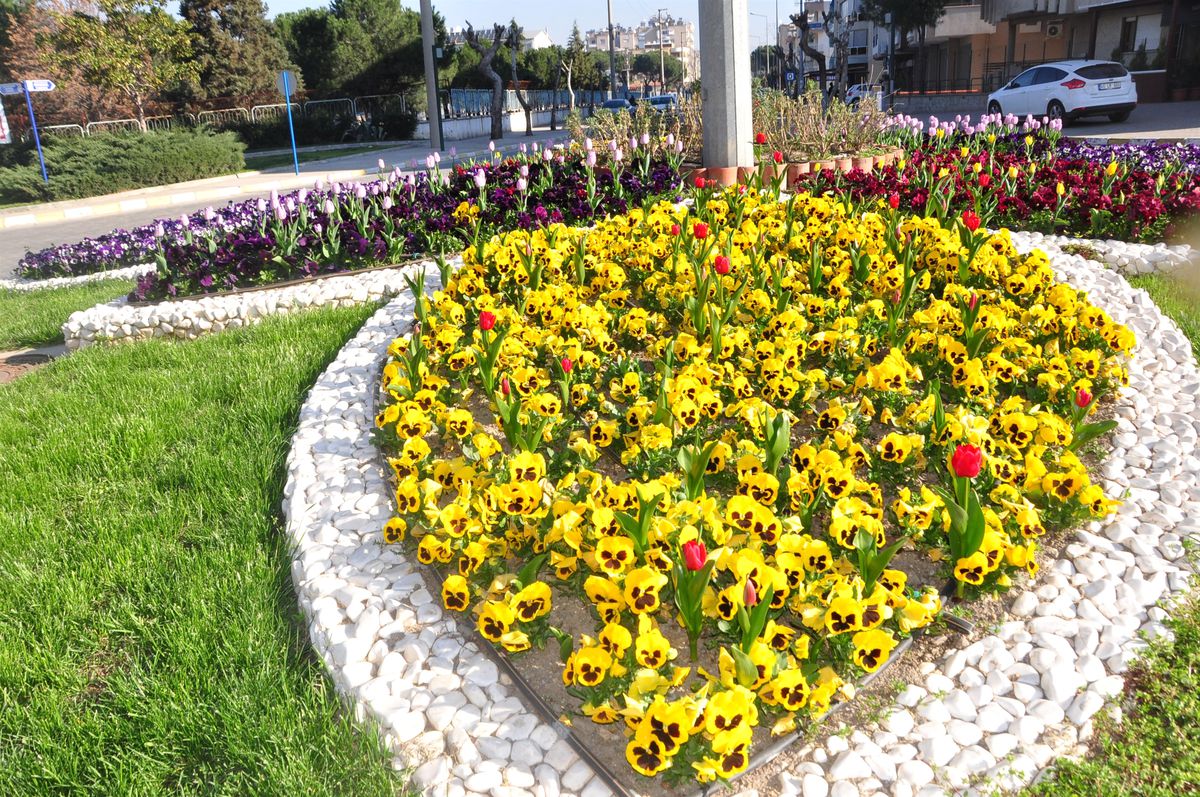 Salihli, Çiçeklerle Donatıldı