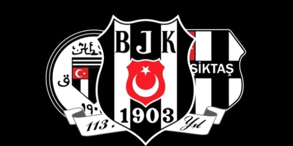Tolga Zengin Son Noktayı Koydu