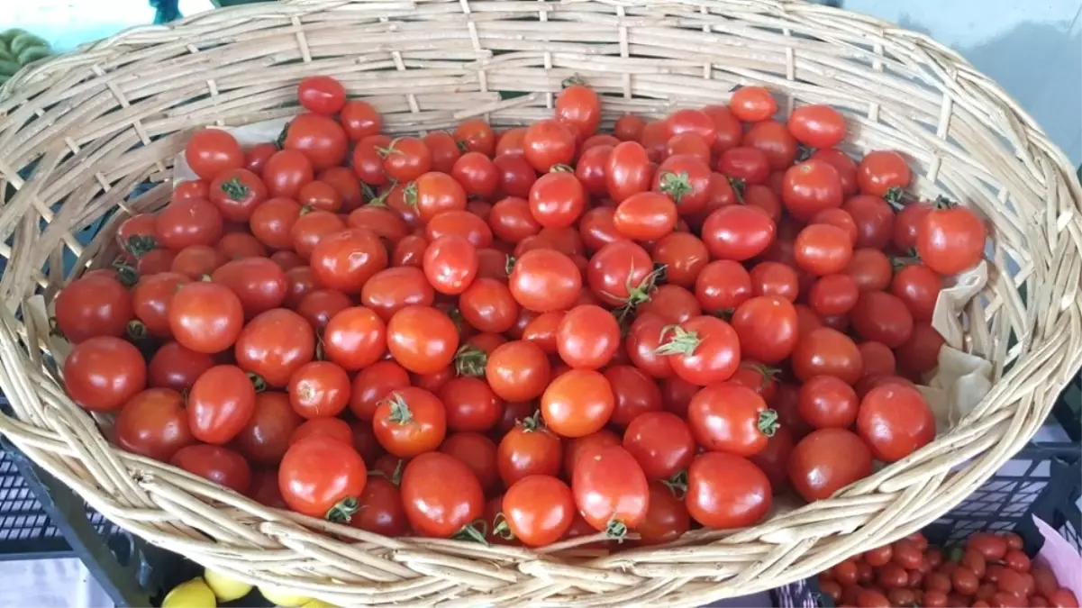 A\'dan Z\'ye Türkiye\'de Organik Tarım Gerçeği