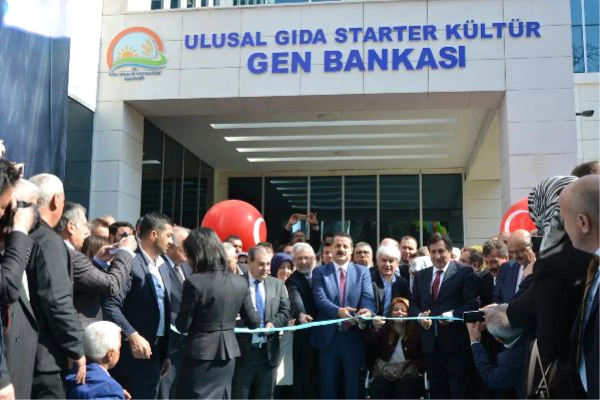 Bakan Çelik Bursa\'da Gen Bankası\'nın Açılışını Yaptı (2)