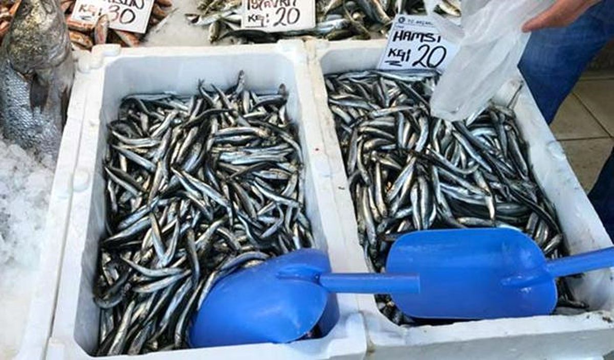 Balıkçılar Hamsi Sezonunu Kapattı