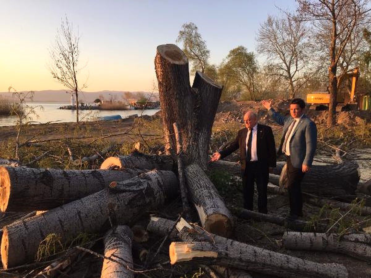 CHP\'li Aydın\'dan İznik Gölü Kıyısında Ağaç Kesimine Tepki