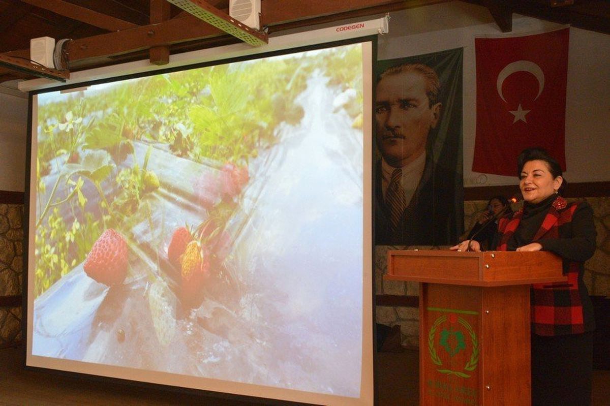 Çilek Yetiştiriciliği Konferansı