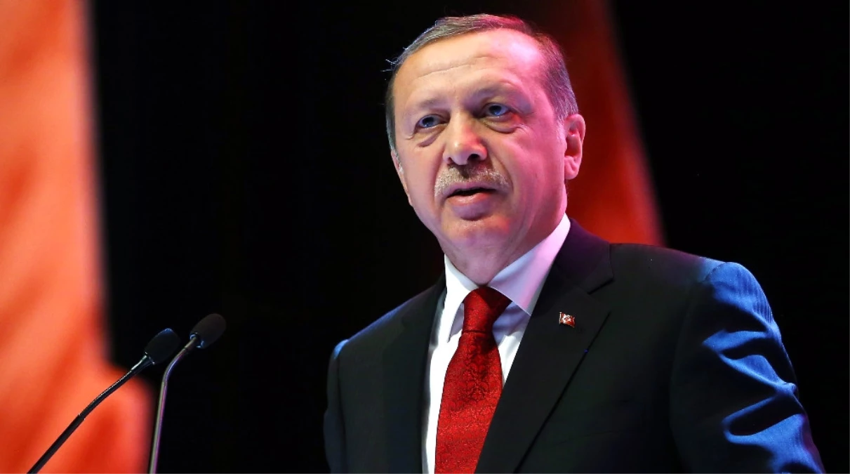 Cumhurbaşkanı Erdoğan\'dan Milli Güreşçiye Tebrik