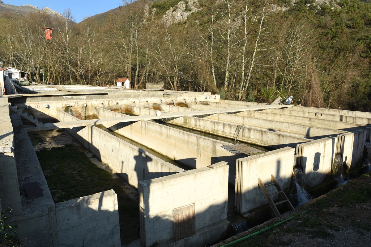 Dereköy\'de Sulu Tarım İçin Büyük Yatırım