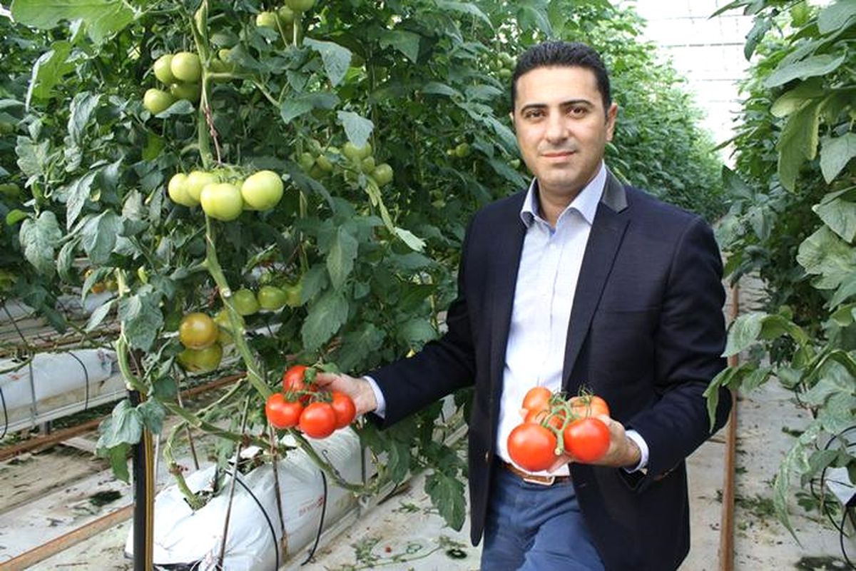 Domateste AB\'nin de İthalatı Durduracağı Tarih Yaklaşıyor