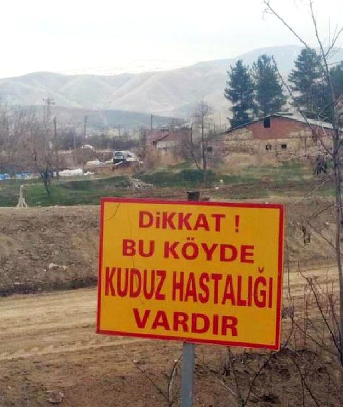 Elazığ\'da Bir Köyde Kuduz Karantinası