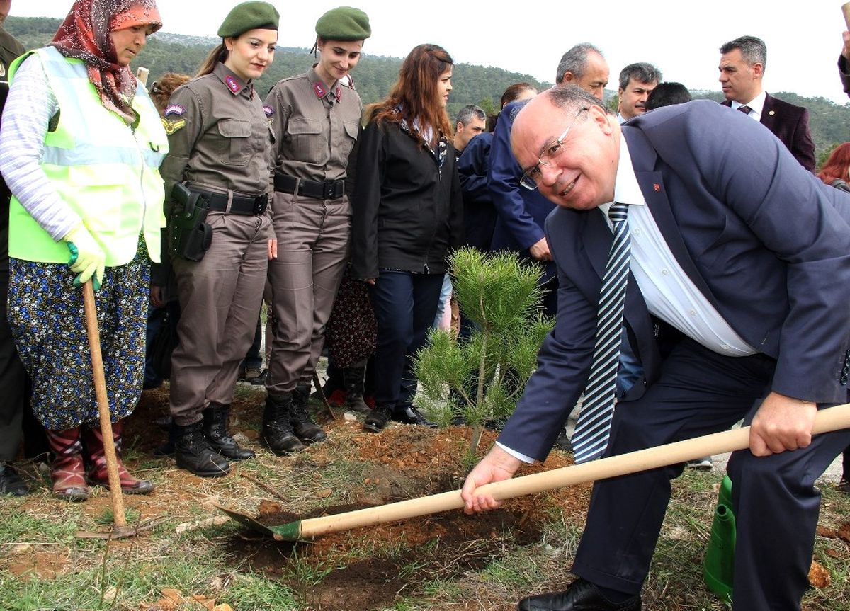 Gönül Elçileri\'nin Fidanları Toprakla Buluştu