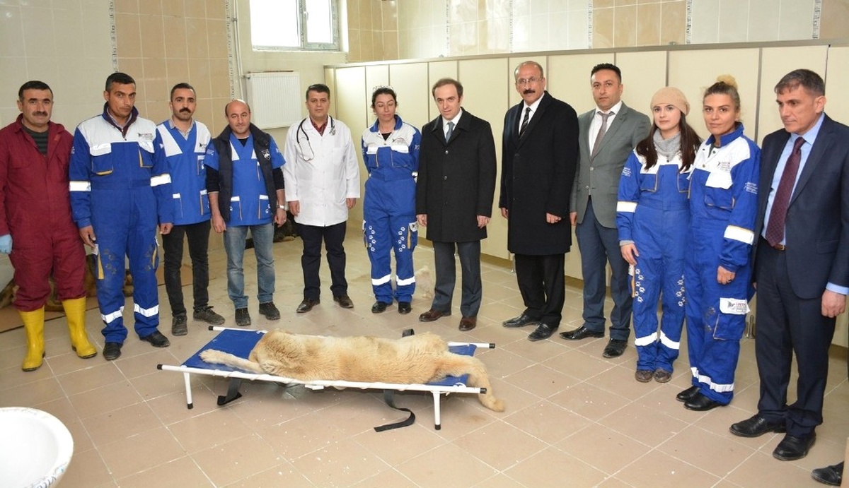 Hakkari\'de \'Sokak Hayvanları Rehabilitasyon Merkezi\' Açıldı
