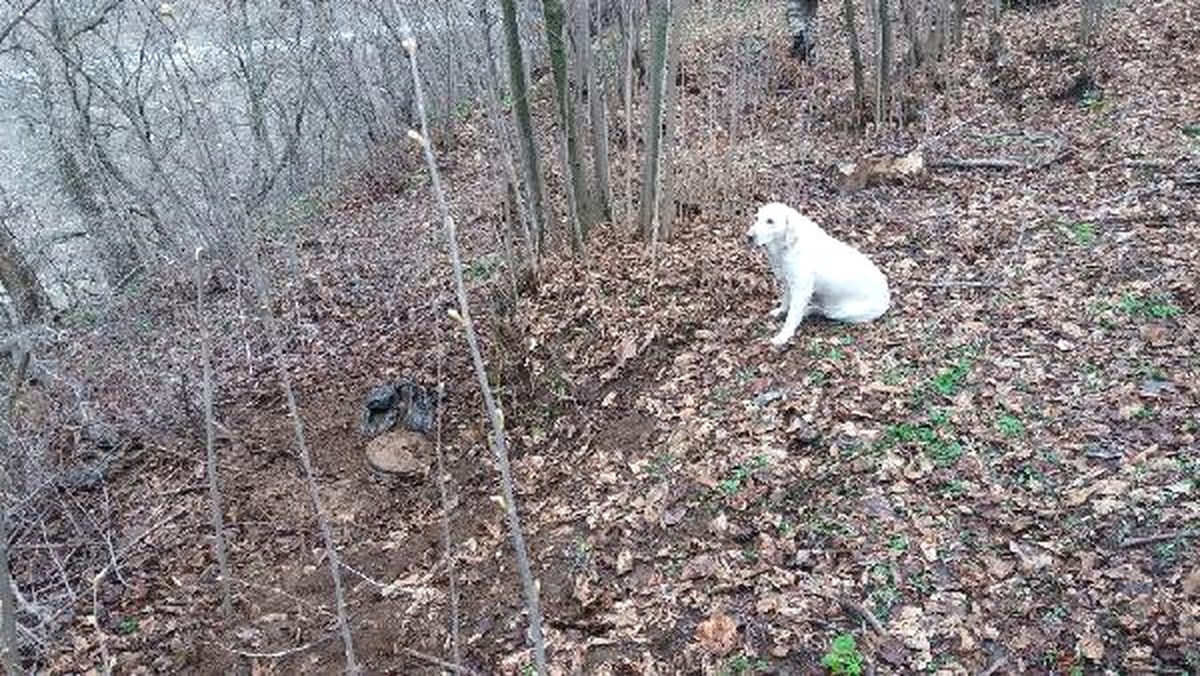 Hizan\'da Bulunan El Yapımı Patlayıcı İmha Edildi