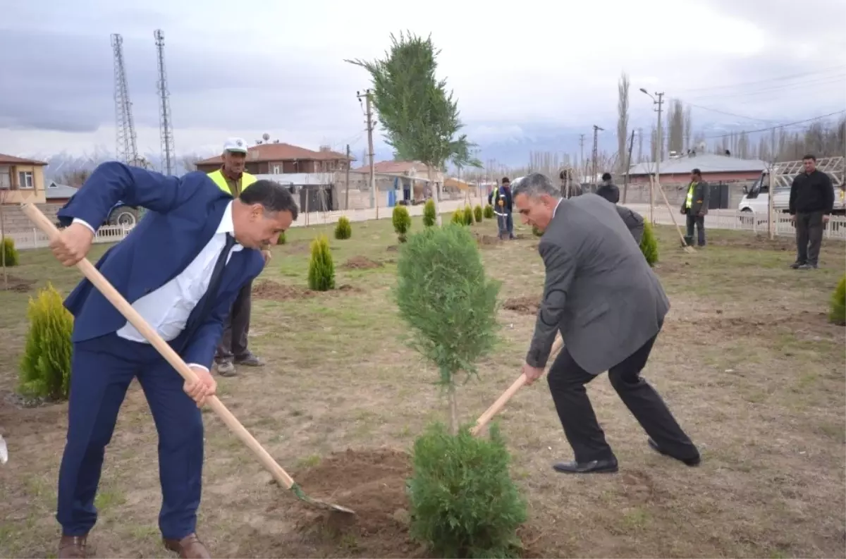 Iğdır\'da Ağaç Dikme Mevsimi Başladı