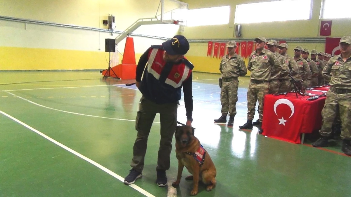 Korucuların Yemin Töreninde Jandarma Köpeklerinin Gösterisi Büyük Beğeni Topladı