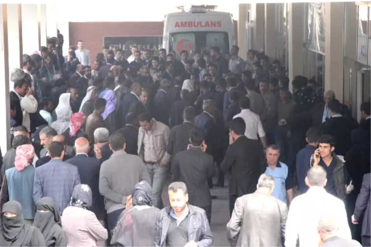 Para Tartışmasında Kardeşini Öldürdü