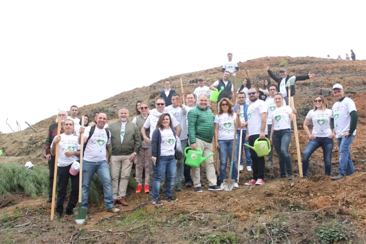 15 Temmuz Şehidi Adına Hatıra Ormanı