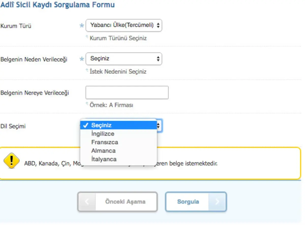 Yabancı Dilde Sabıka Kaydı E-Devlet Üzerinden Alınabilecek!
