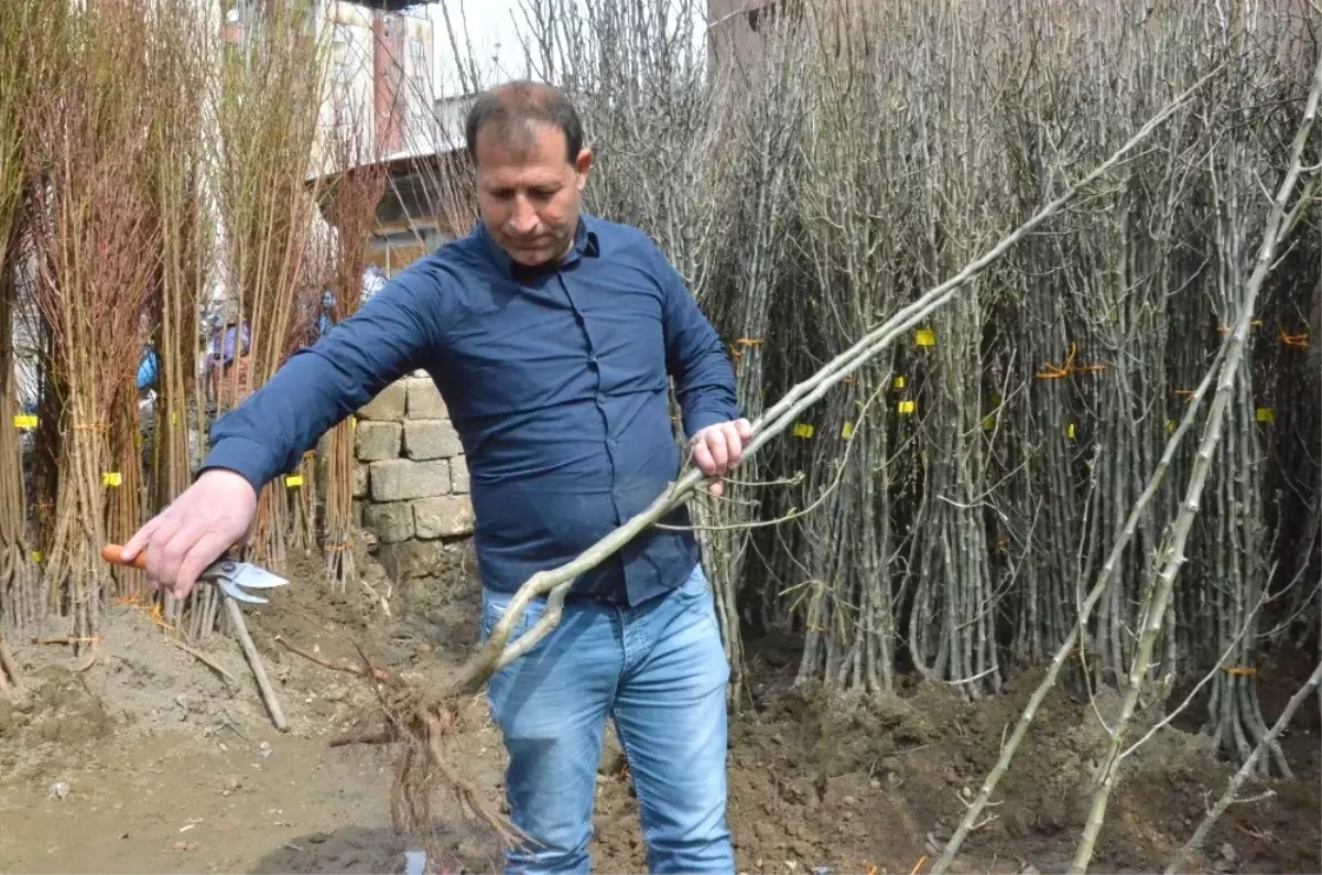 25 Yıllık Baba Mesleğiyle Hem Para Kazanıyor Hem de Çevreyi Güzelleştiriyor