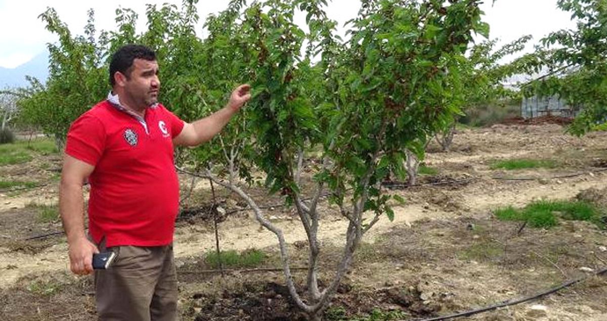 3 Diplomalı Çiftçi, Keçiboynuzu Dopingiyle Kârını Katlayacak