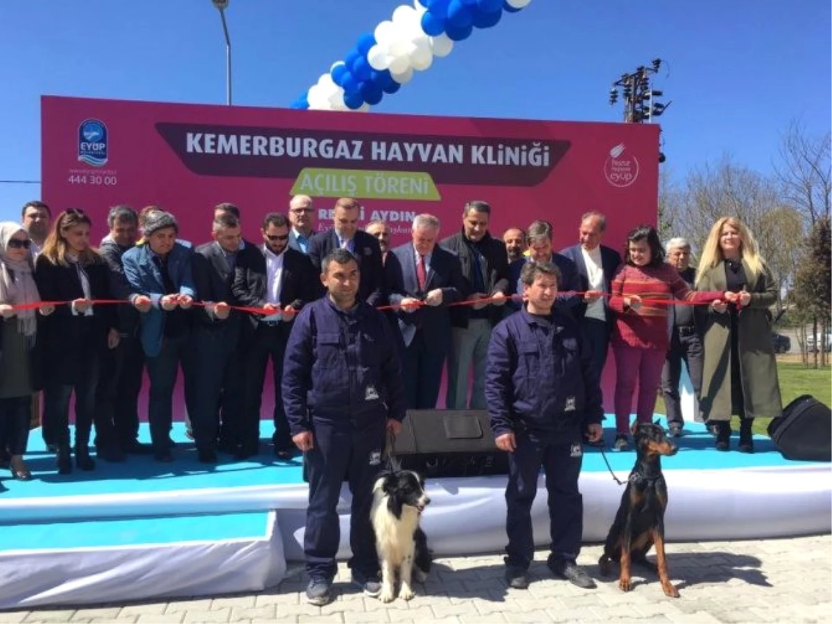 Kemerburgaz Sokak Hayvanları Kliniği Hizmete Açıldı
