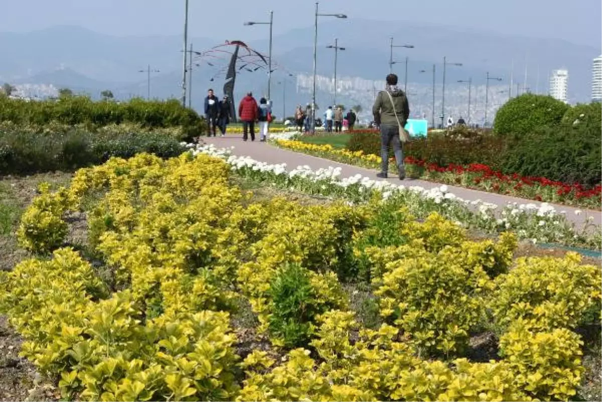 Kordon Çiçeklerle Renklendi