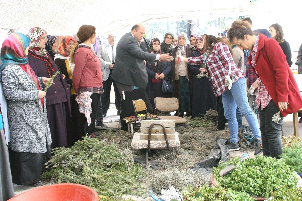 Tarım İlçe Müdürlüğünden Devrekli Çiftçilere Teknik Gezi
