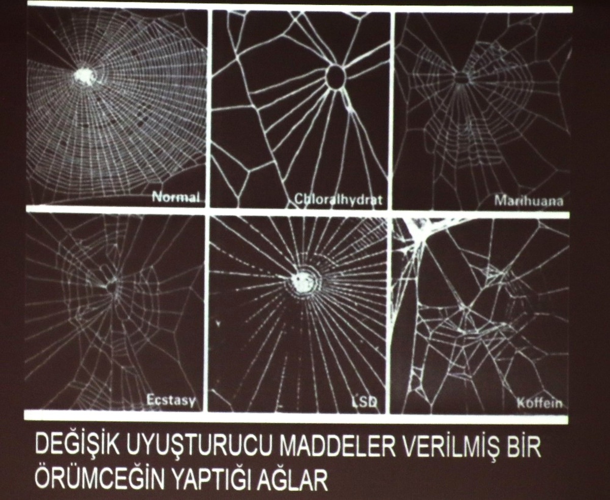 Türkiye\'de Tütün ve Tütün Ürünlerinin Ülkeye Maliyeti 50 Milyar Dolar