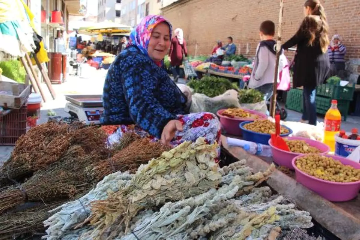 Yanlış Kullanılan Bitkilerde Kanser Riski