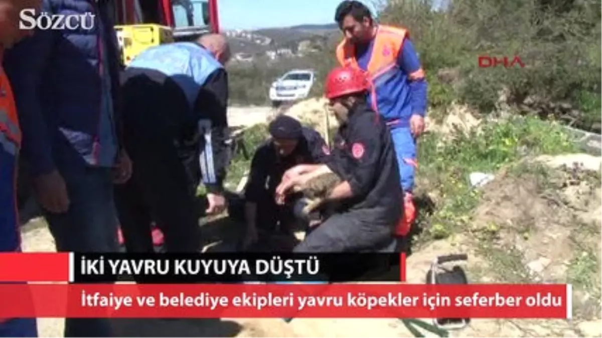 Sondaj Kuyusuna Düşen İki Yavruyu Böyle Kurtardılar