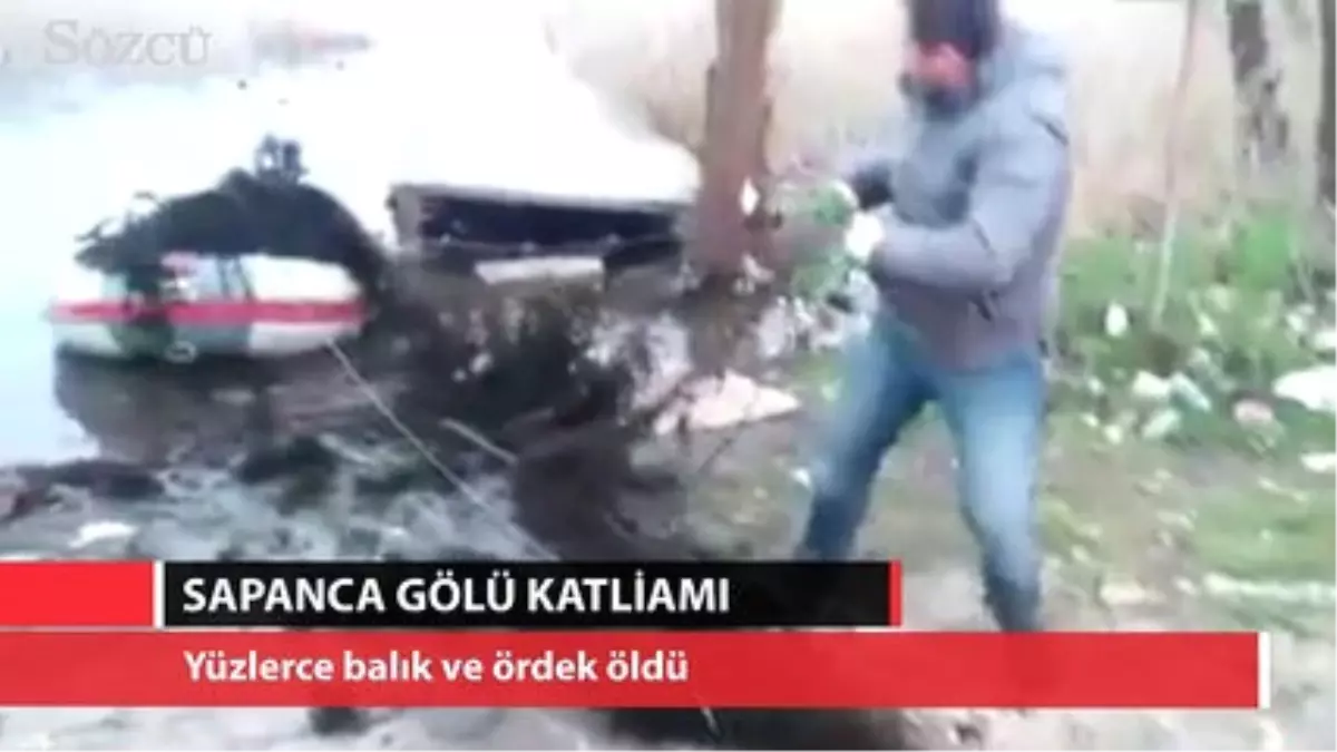 Ağa Takılan Olta Katliamı Ortaya Çıkardı