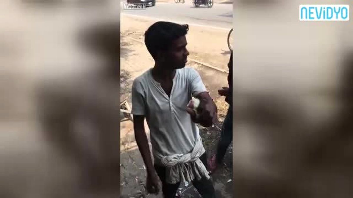 Civcivleri Satabilmek İçin Eziyet Ediyor! (+18)