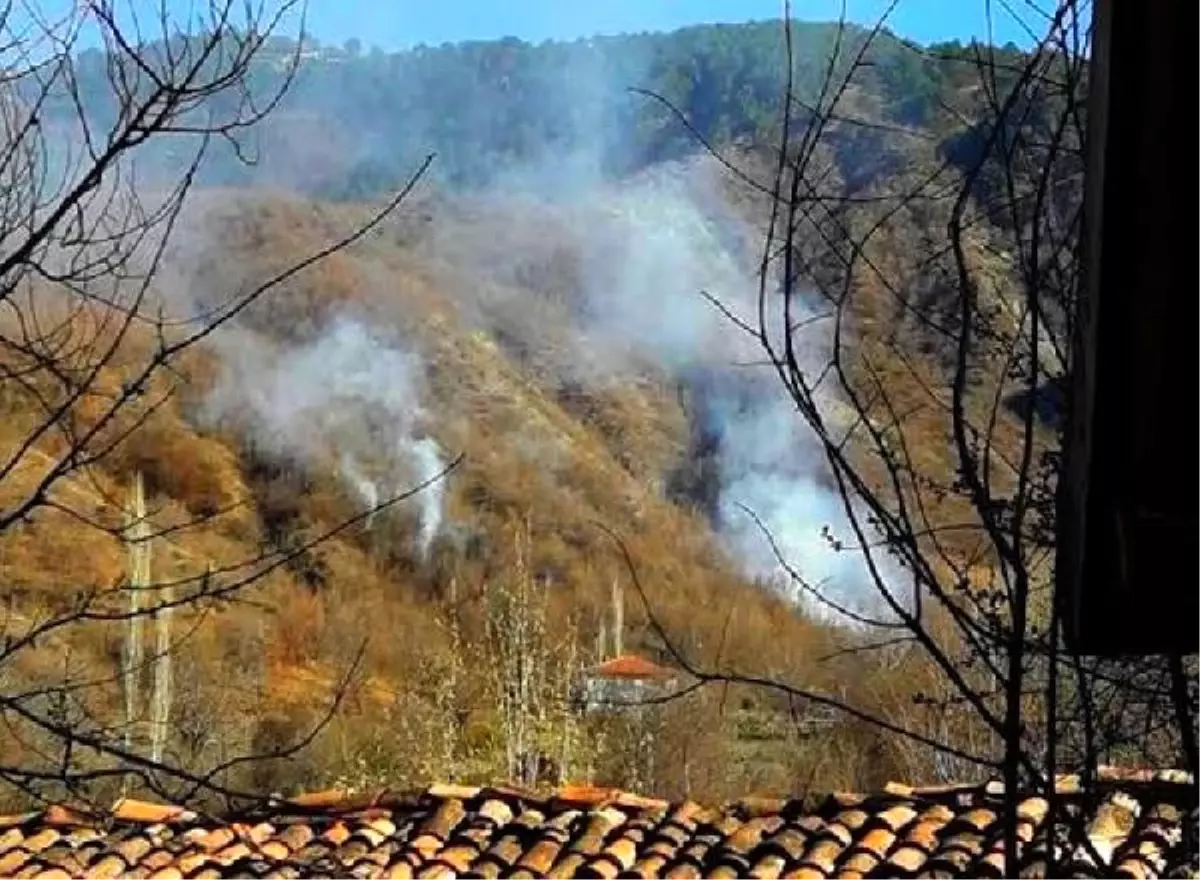 Çorum\'da Orman Yangını Korkuttu